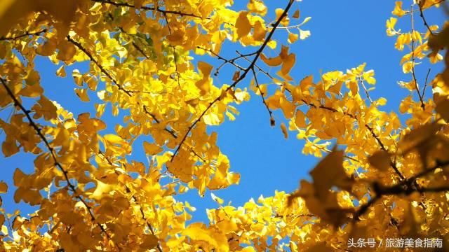 旅游推荐丨云南最美的地方，不是丽江，不是大理，而是这里……