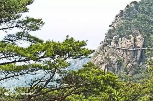 骄傲！临沂再登国家榜单！还是山东地级市唯一入选城市！