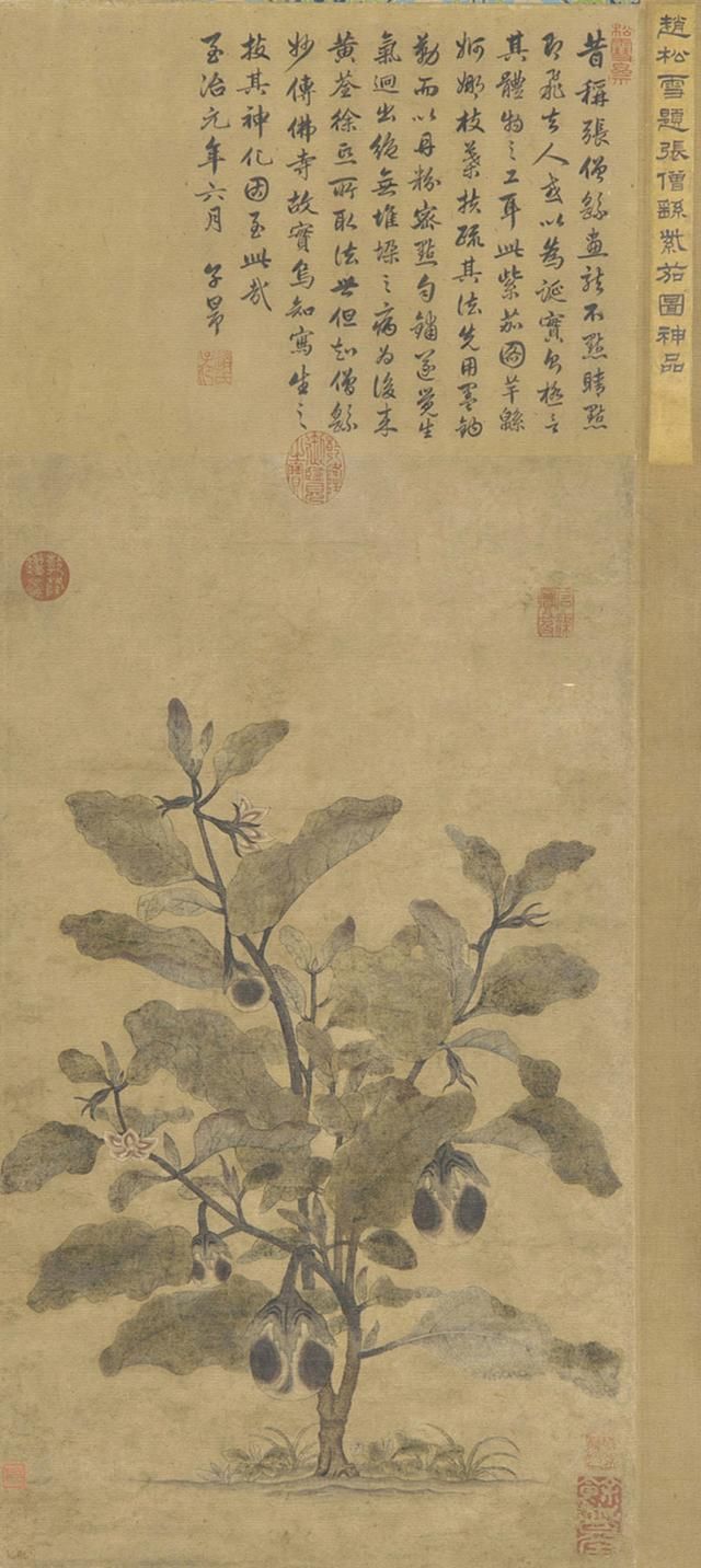 t01c824d2c097d3ea85.jpg