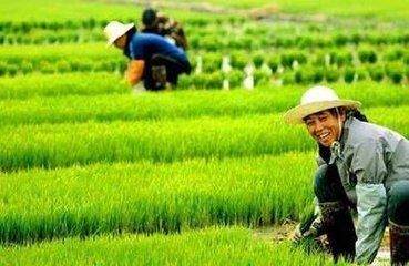 快来算笔账 每年交养老保险1000元 交够15年 每年能领多少钱？