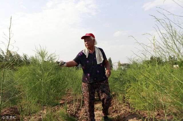 农村老话，“三九南风吹，来年雪花飞”，明年地里收成不好？