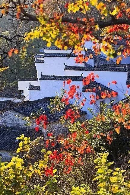 惊艳！杭州这条世界级黄金旅游铁路线即将开通！一路看遍国家级风