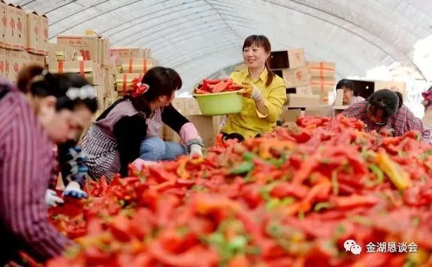 各省人均耕地_牛耕地图片(3)