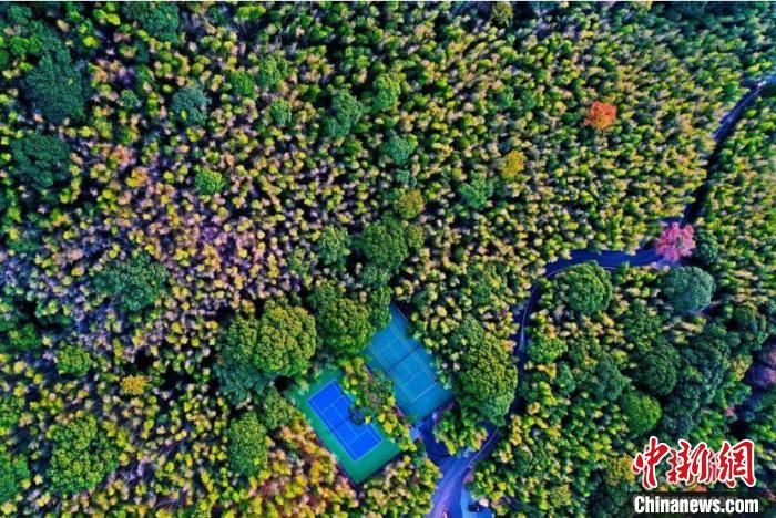 全民体育促进体育产业发展