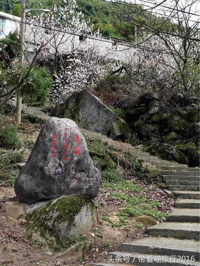 宁波四明山上这个神秘村庄，被樱桃花包围，如同世外桃源