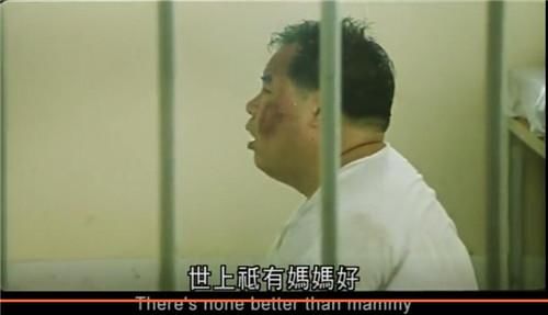 大公影评《肥猫流浪记》:世界吻我以痛,我报之