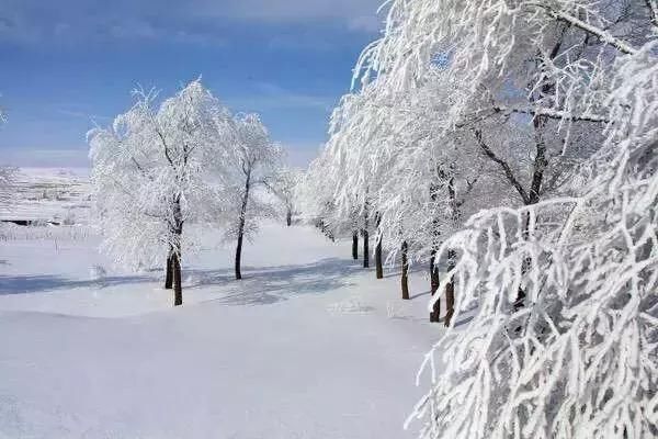 实拍张家口草原天路大雪，这样的寂静你见过吗