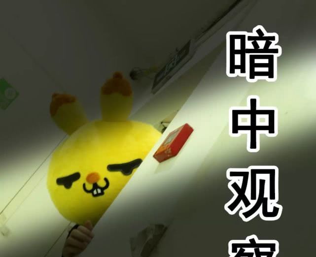 t01c9382d8a3bd0c349.jpg