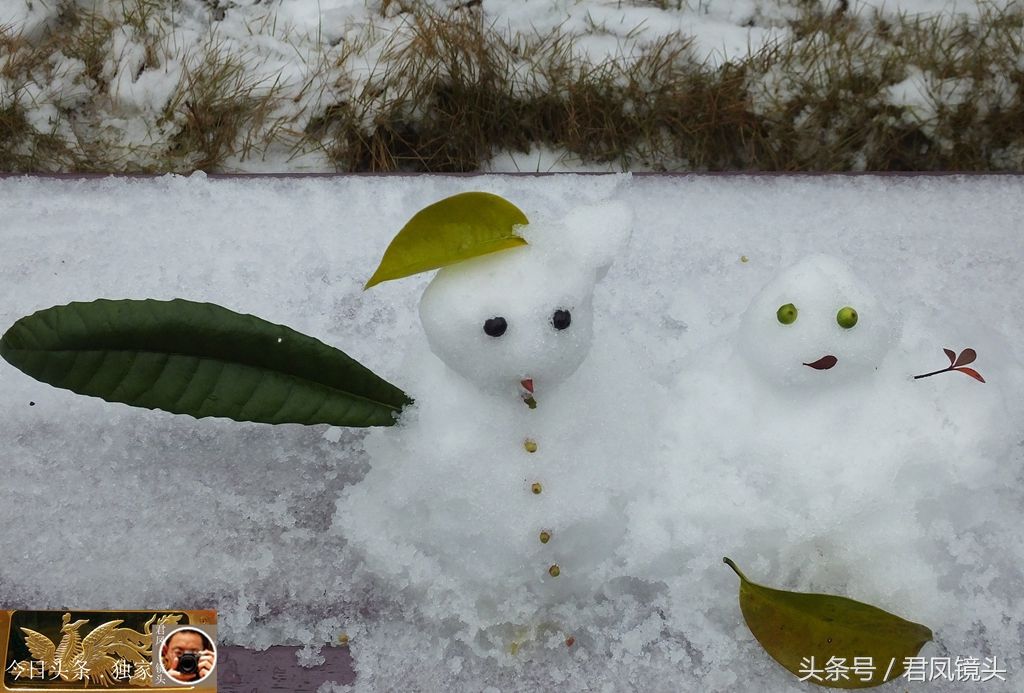 湖北宜昌:天才市民堆出奇葩雪人!你认为谁堆