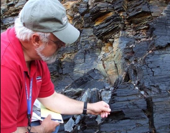 安徽近日发现的储量达5亿吨的页岩油,到底是啥