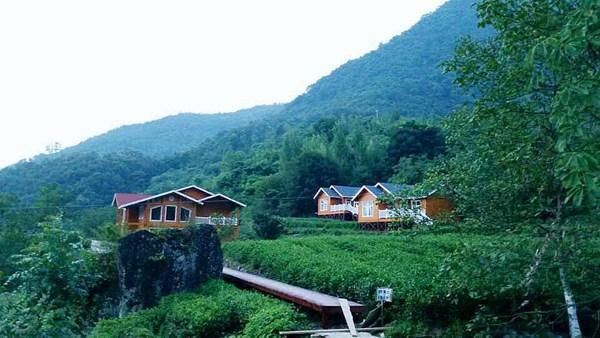 这个吃腊肉、讲川话的小镇,确定是甘肃省的?