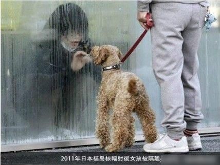 感动全世界的十张照片，每一张都让人心碎