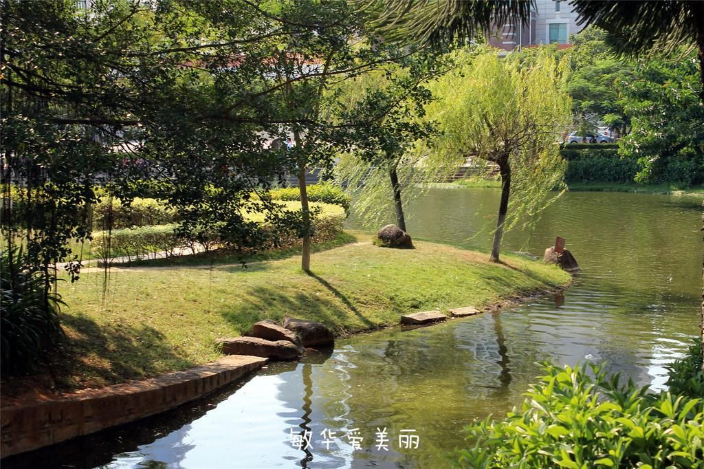 厦门市十五届人大五次会议