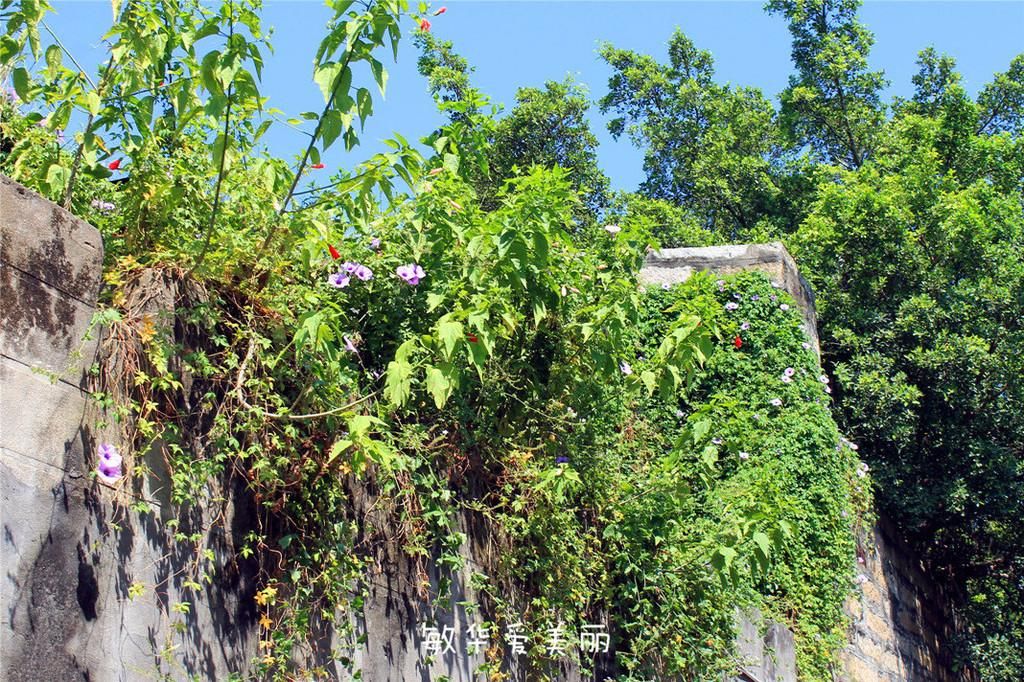 厦门市十五届人大五次会议