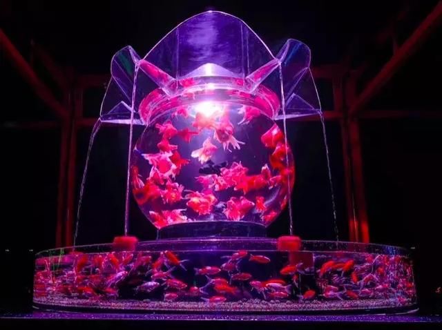 瓦努阿图：潜入水底邮筒便能投递出全世界独一无二的水下明信片