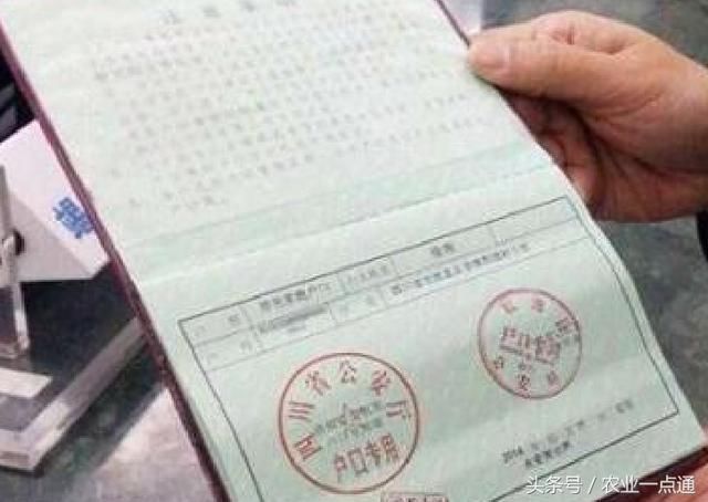 一人口三条_麻将一条二条三条图片(2)