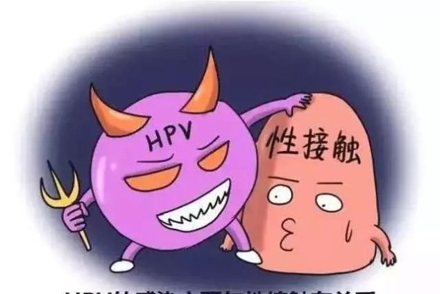 HPV人乳头瘤病毒全套