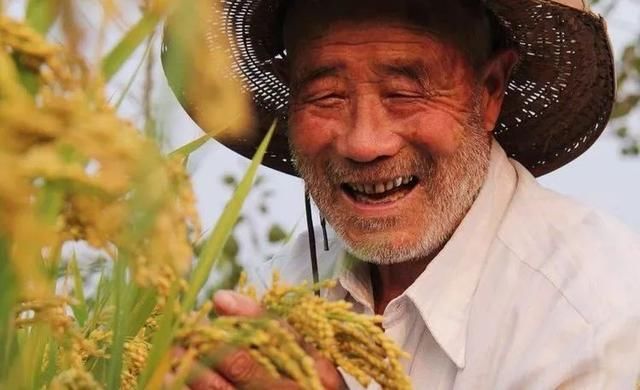 今年秋分将设立中国农民丰收节!中国几亿农