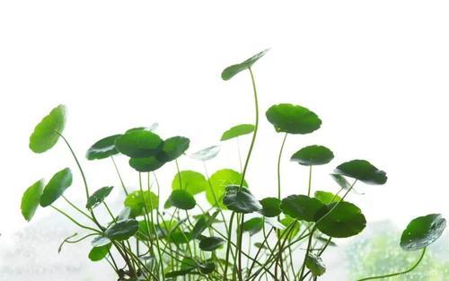 2018年最火最精辟的经典句子,言简意深