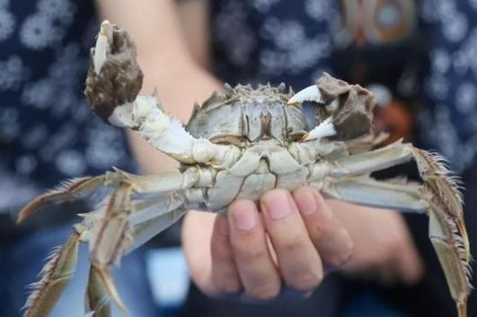 上海地址随便来一个