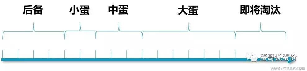 蛋价基本触底！后期将维持在3元线上！