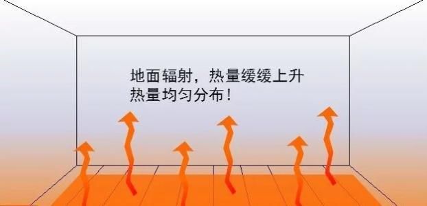 t01ca92ce91add187df.jpg