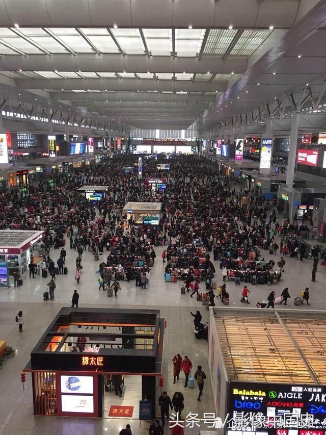 上海虹桥高铁站春运景象：千山万水挡不住游子回家过年 现场图