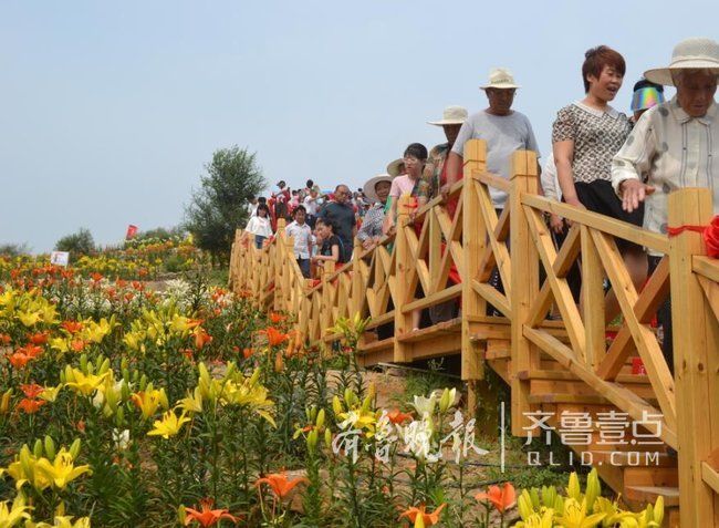 新泰文化老鼠艺术节开幕16对新人举办百合大战模拟器美食集体图片