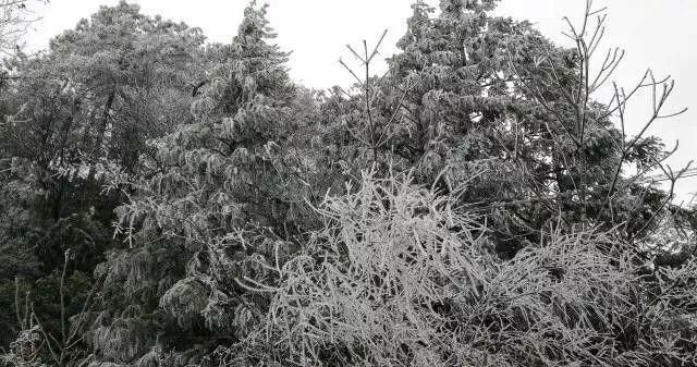 这是贵州最全的冰雪景观！美得有点猝不及防……