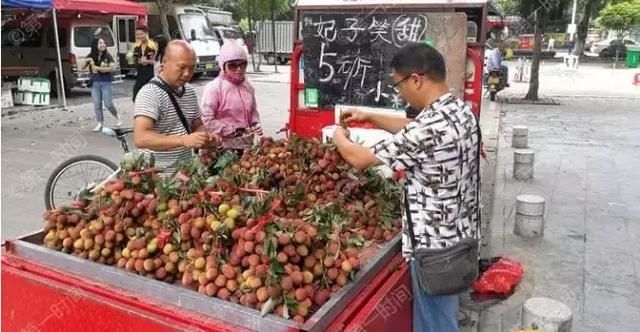 北流荔枝疯狂上市，比去年便宜一半，吃货们狂吃吃吃！