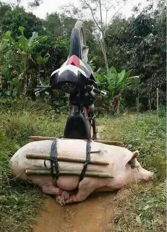 gif恶搞生日视频,gif恶搞生日视频大全