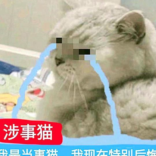 帅哥搞笑猫咪:你生气的样子像极了我女朋友表情包表情想的图片