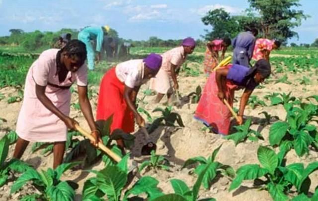 曾是全球最不缺钱的国家,如今沦为原始社会国,仅靠旅游业支撑