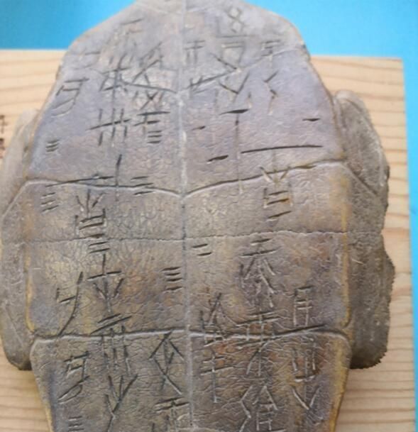 隆安右江奇怪了一块龟甲,上面刻满出土文字,专rosi情趣马尾和服双图片