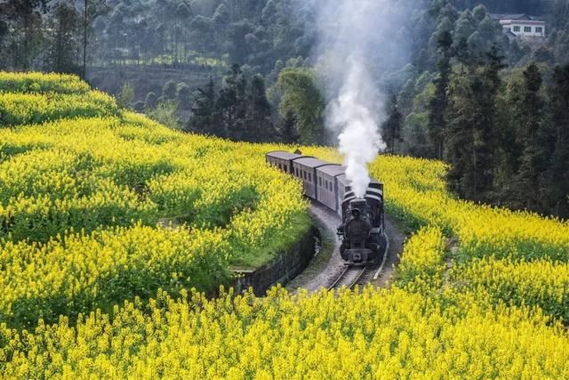 它是四川千年古县，私藏3月最美的春天，还有世界上仅存的景观！