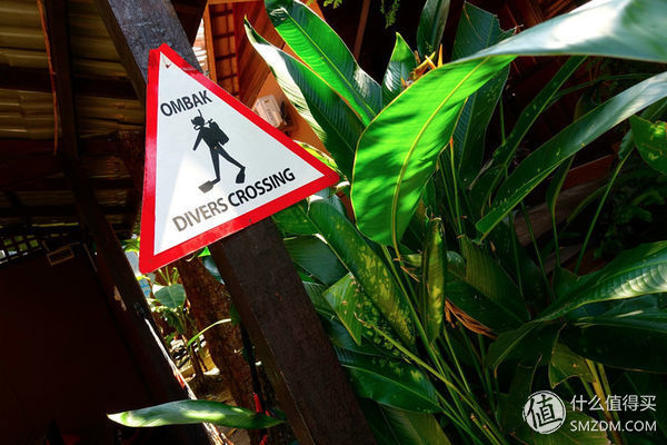 头脑一热，去马来西亚热浪岛了