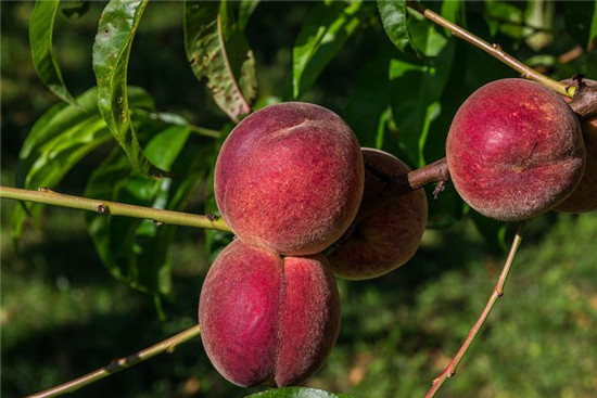三岁宝宝鼻炎应该怎么治疗比较好?
