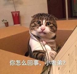 中国足球闯进俄罗斯世界杯?是的 这回你真的没