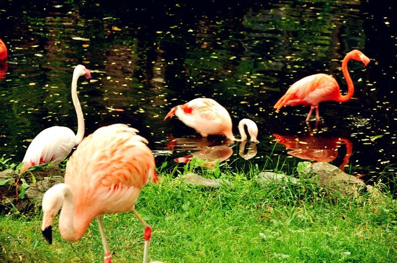 北海道夏天好玩吗,北海道夏天美吗