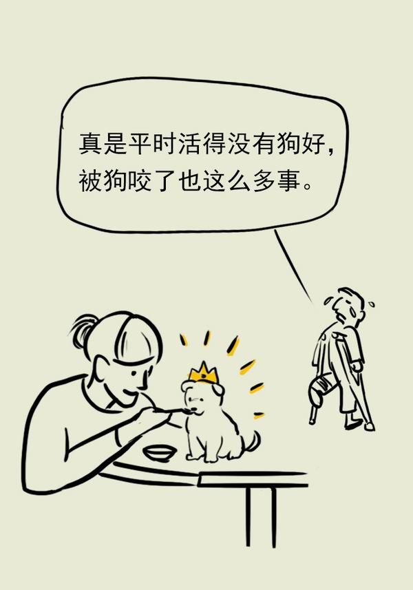 漫画|世界狂犬病日，狗咬猫抓后如何急救?_【今日爆点】