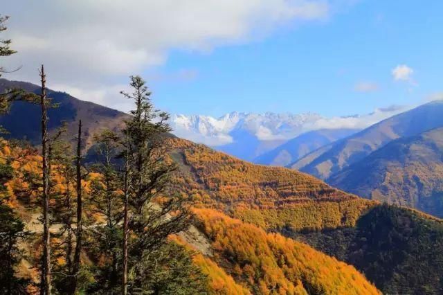 没想到四川有一处这么美腻的小城，约吗?