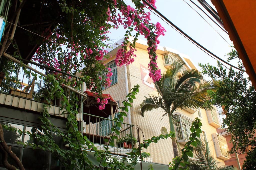 厦门市十五届人大五次会议