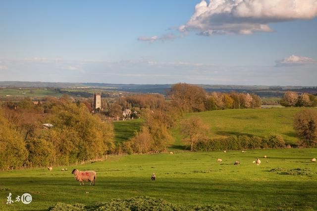 奇速英语|一般将来时|一般将来时的句子!
