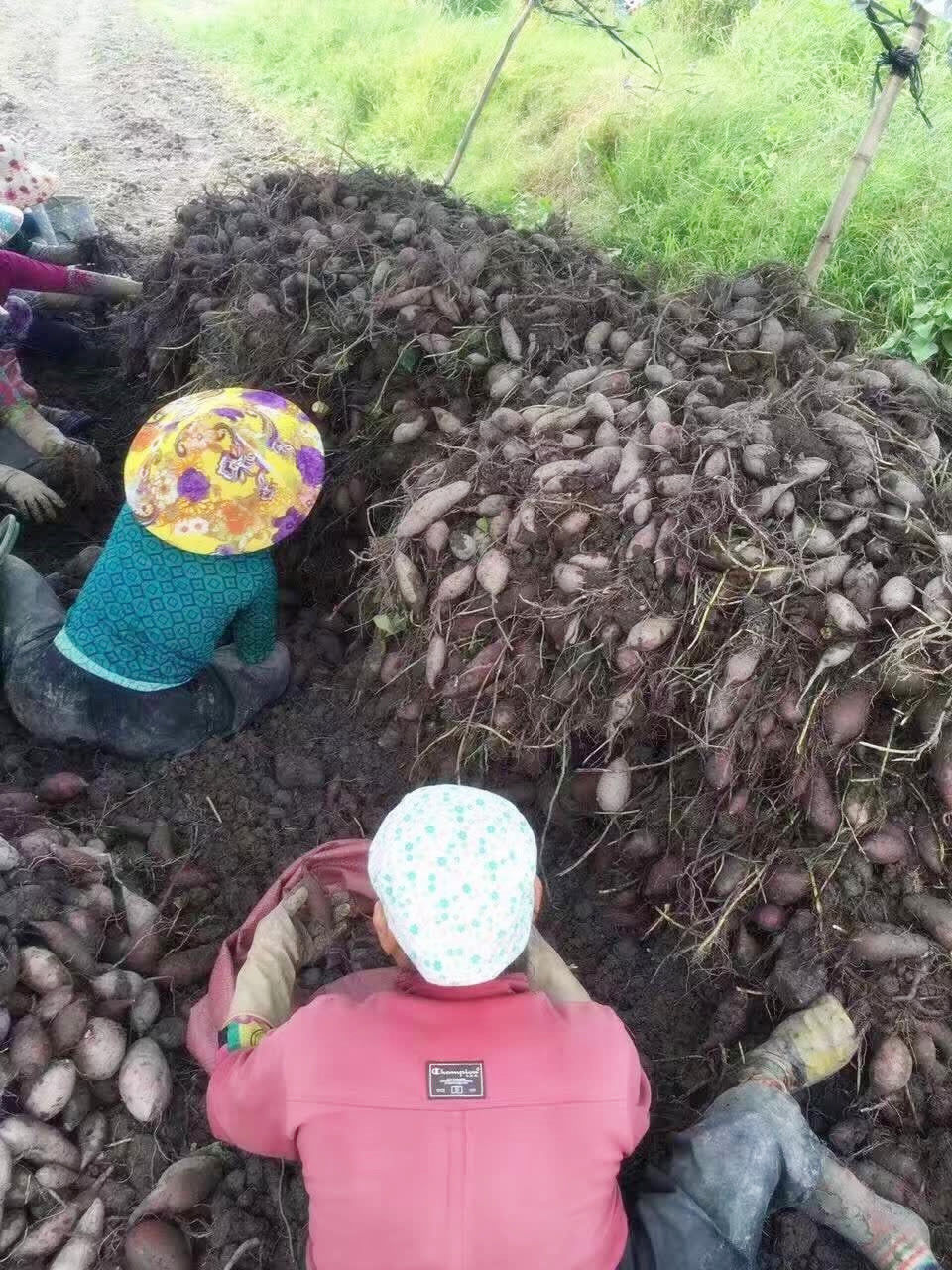 直击中越边境线，越过只需一秒，还有卖芒果的小姑娘