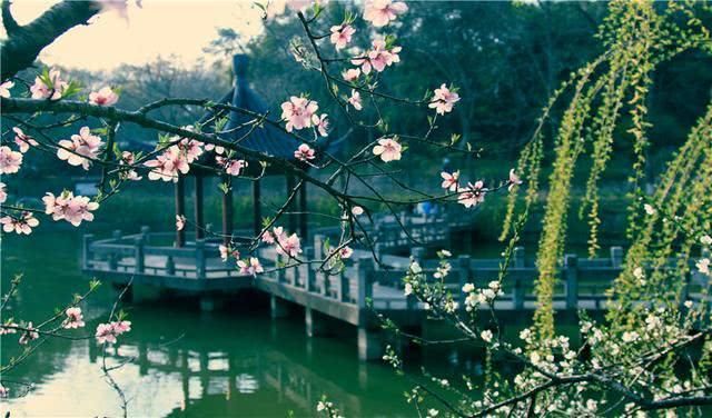 媲美九寨沟!来南京最美古刹,感受绝色美景,无数人心中的天堂!