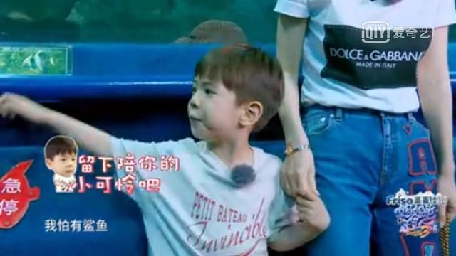 《超人妈妈》霍思燕一件普通T恤价值上万,顶普