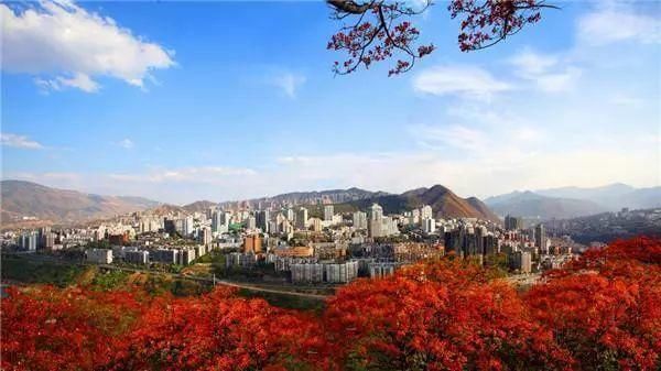 资阳市安岳县_2018年资阳市gdp