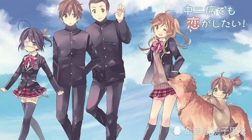 中华文化添彩美国革命女儿博物馆 2018世界博