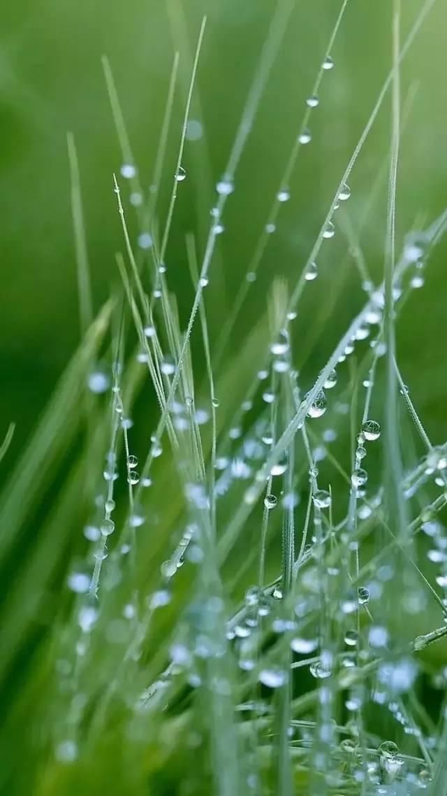 摄影技巧雨季必学的20种雨滴雨丝拍摄手法(二)