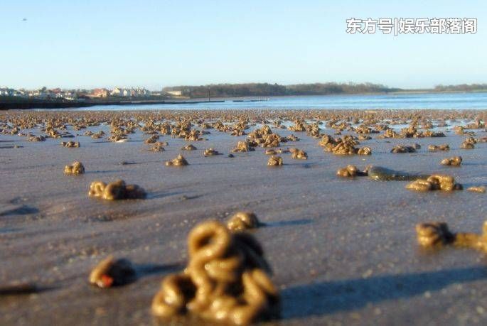 世界上最奇异的5场“大雨”，最后一场你做梦都想看到